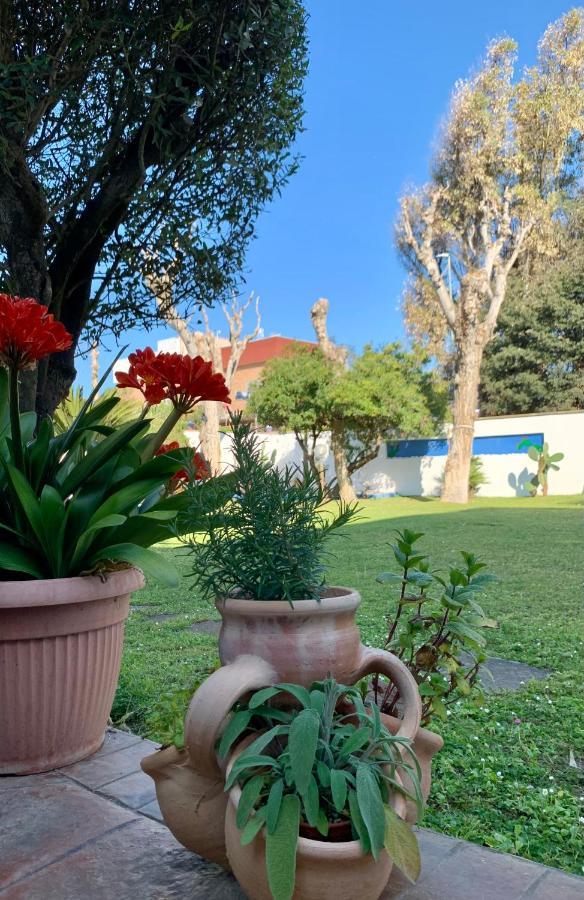 Casa Vacanze Costa Marina フレジェネ エクステリア 写真